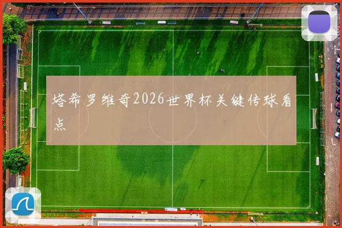塔希罗维奇2026世界杯关键传球看点