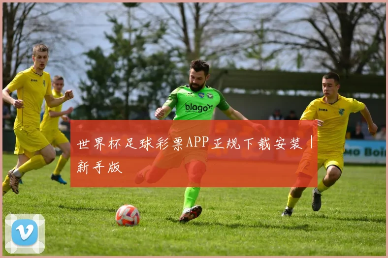 世界杯足球彩票APP正规下载安装｜新手版
