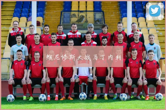 维尼修斯大战马丁内利