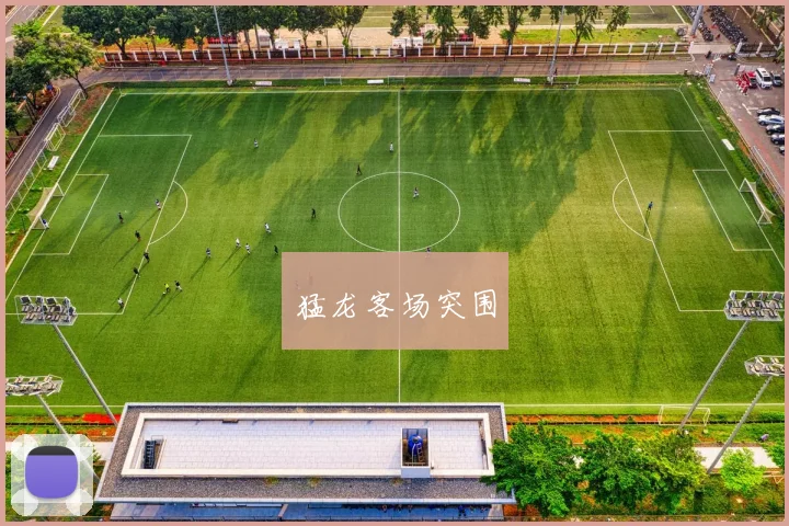 猛龙客场突围
