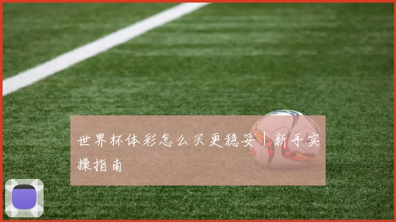 世界杯体彩怎么买更稳妥｜新手实操指南