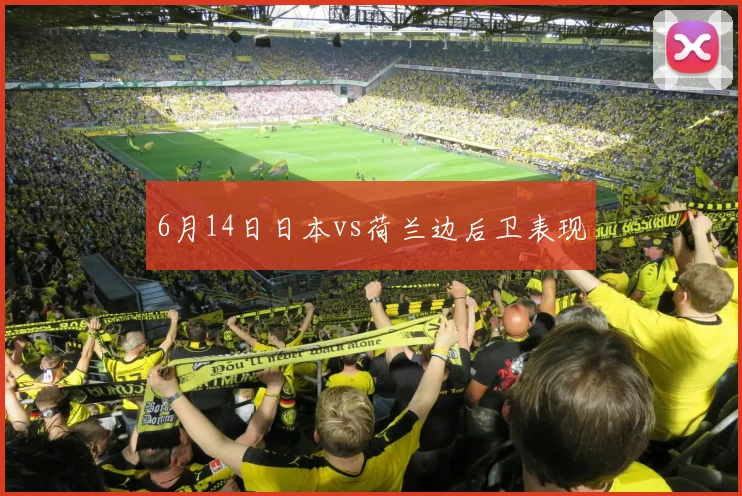 6月14日日本vs荷兰边后卫表现