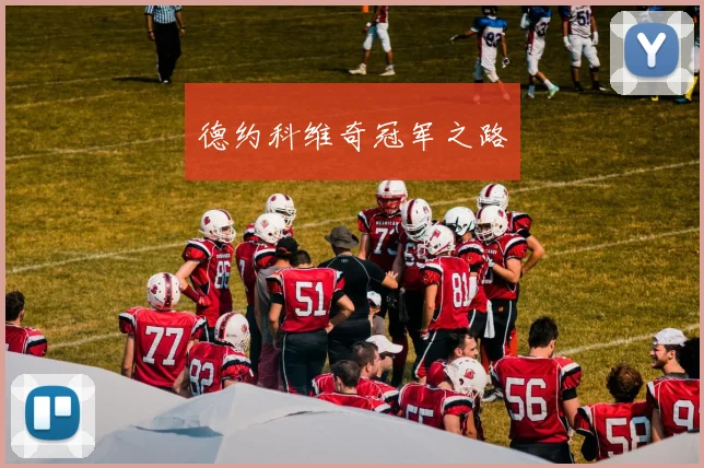 德约科维奇冠军之路