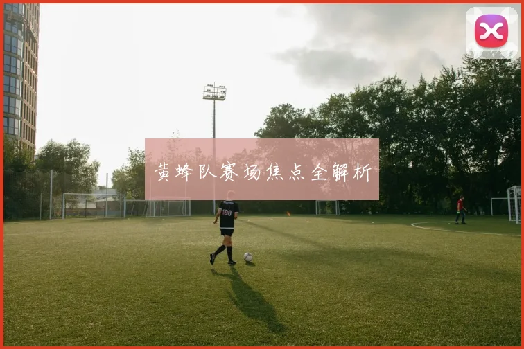 黄蜂队赛场焦点全解析