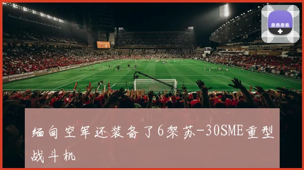 缅甸空军还装备了6架苏-30SME重型战斗机
