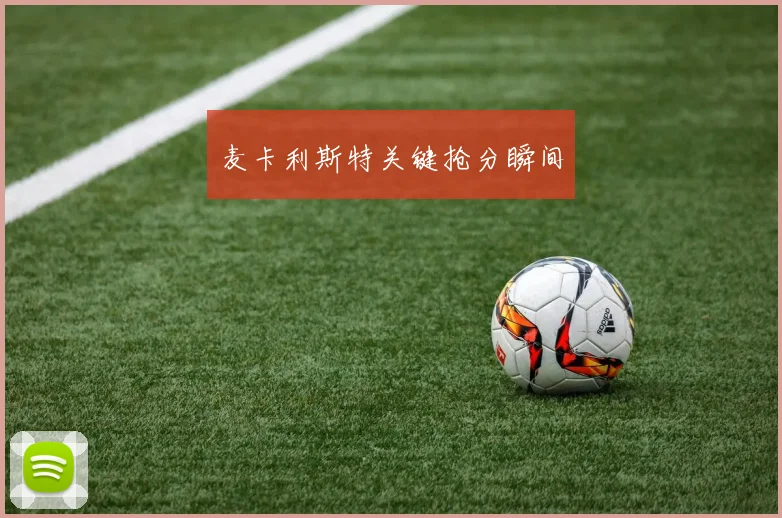 麦卡利斯特关键抢分瞬间