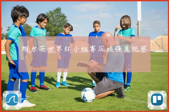 维尔茨世界杯小组赛压迫强度观察
