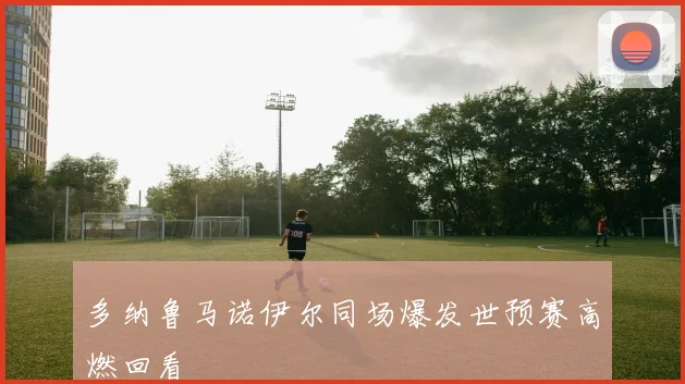多纳鲁马诺伊尔同场爆发世预赛高燃回看