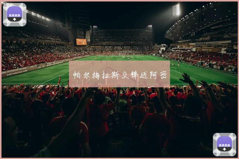 帕尔梅拉斯交锋迈阿密