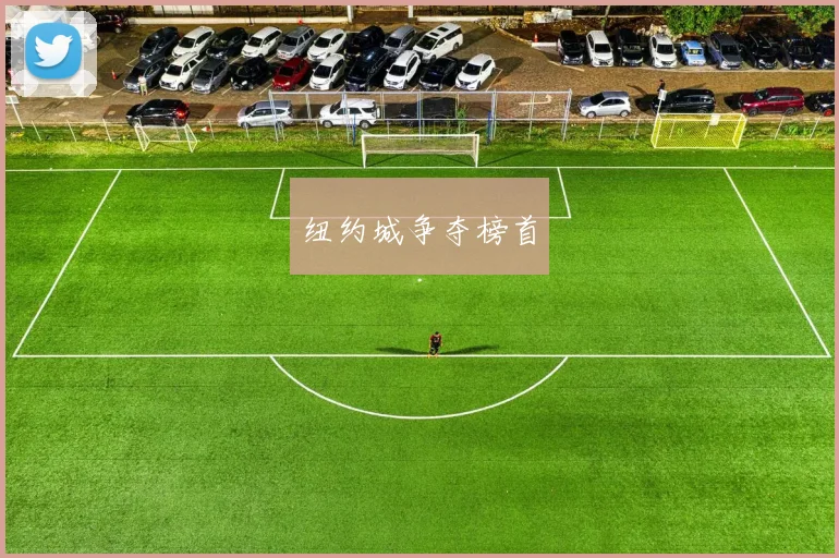 纽约城争夺榜首