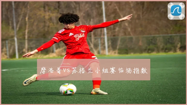摩洛哥vs苏格兰小组赛临场指数