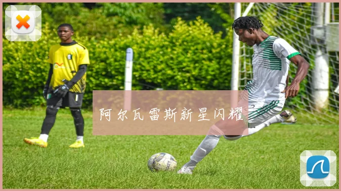 阿尔瓦雷斯新星闪耀