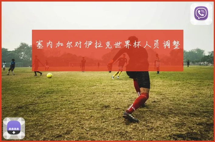 塞内加尔对伊拉克世界杯人员调整