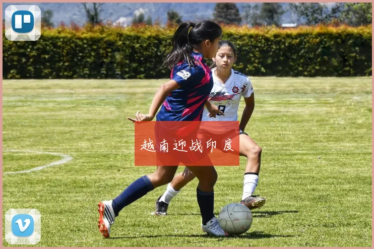 越南迎战印度