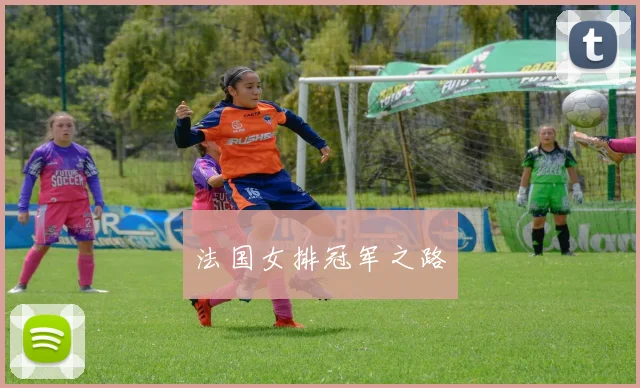 法国女排冠军之路