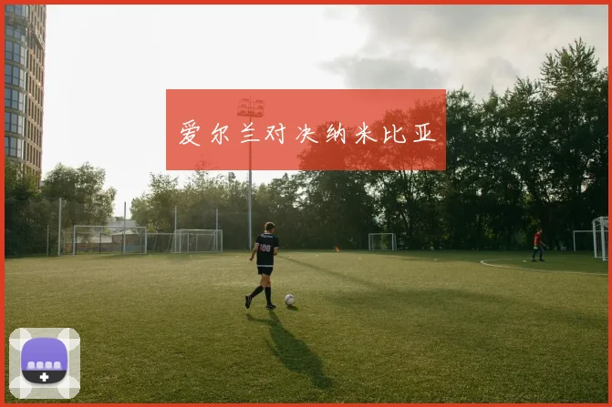 爱尔兰对决纳米比亚