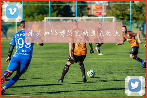 牙买加VS博茨瓦纳焦点对决