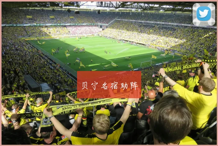 贝宁名宿助阵