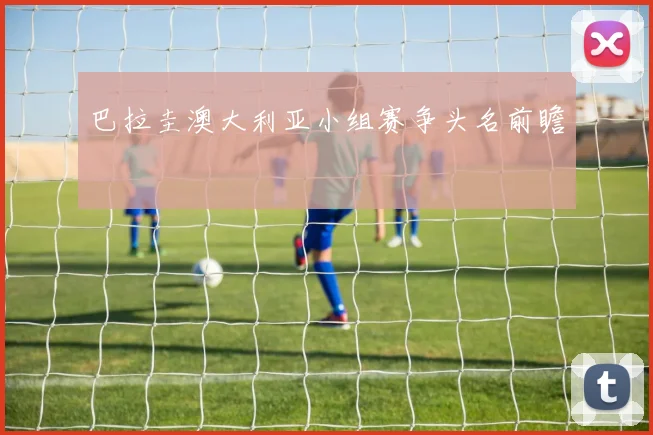巴拉圭澳大利亚小组赛争头名前瞻