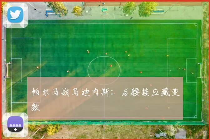 帕尔马战乌迪内斯：后腰接应藏变数