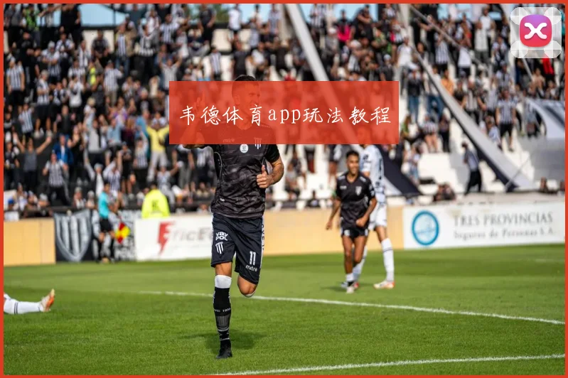 韦德体育app玩法教程