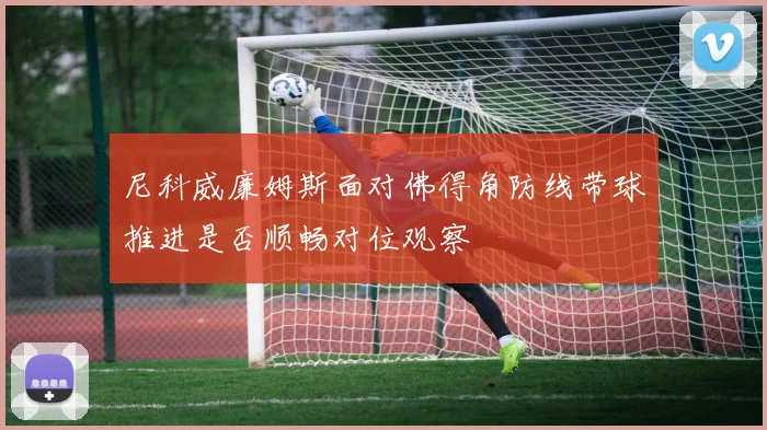 尼科威廉姆斯面对佛得角防线带球推进是否顺畅对位观察