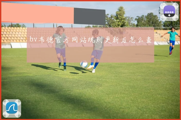 bv韦德官方网站规则更新后怎么查